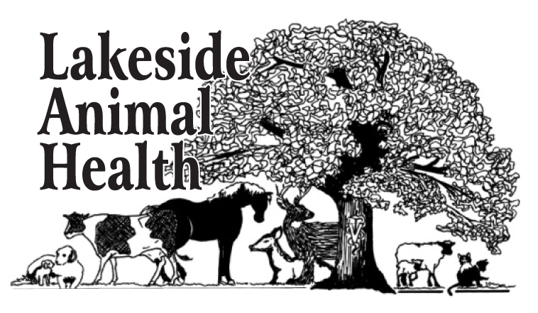 Lakeside Animal Health